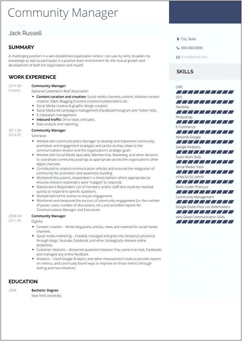 Example Skills Manager Section Resume
