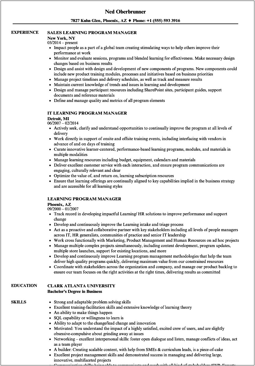Examples Formal Resume For Program Manager