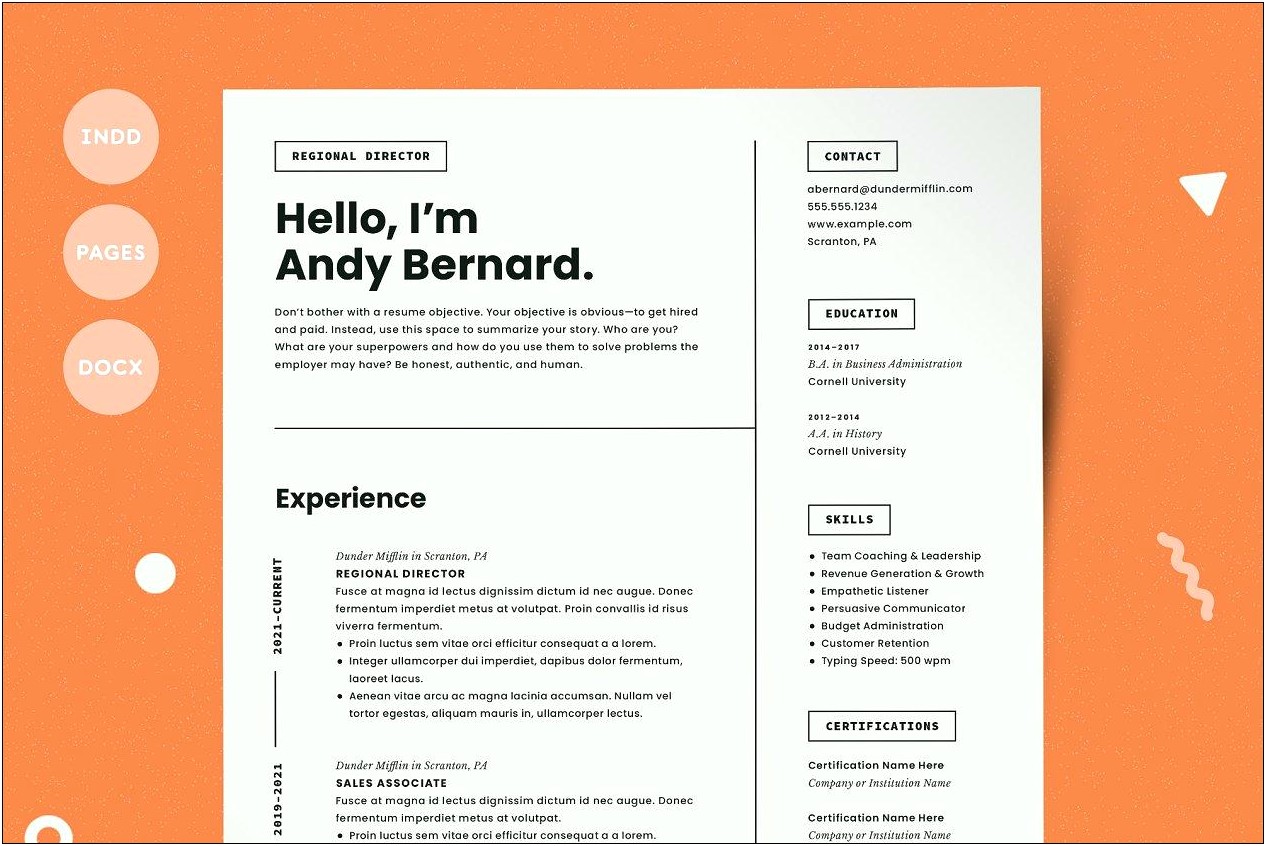 Examples Of A Creativ Resume
