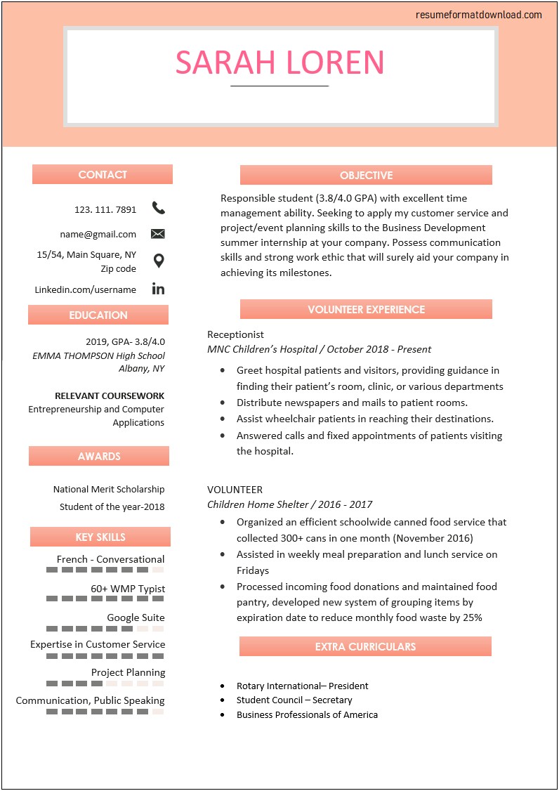Examples Of A Good Resume For Highschool Students