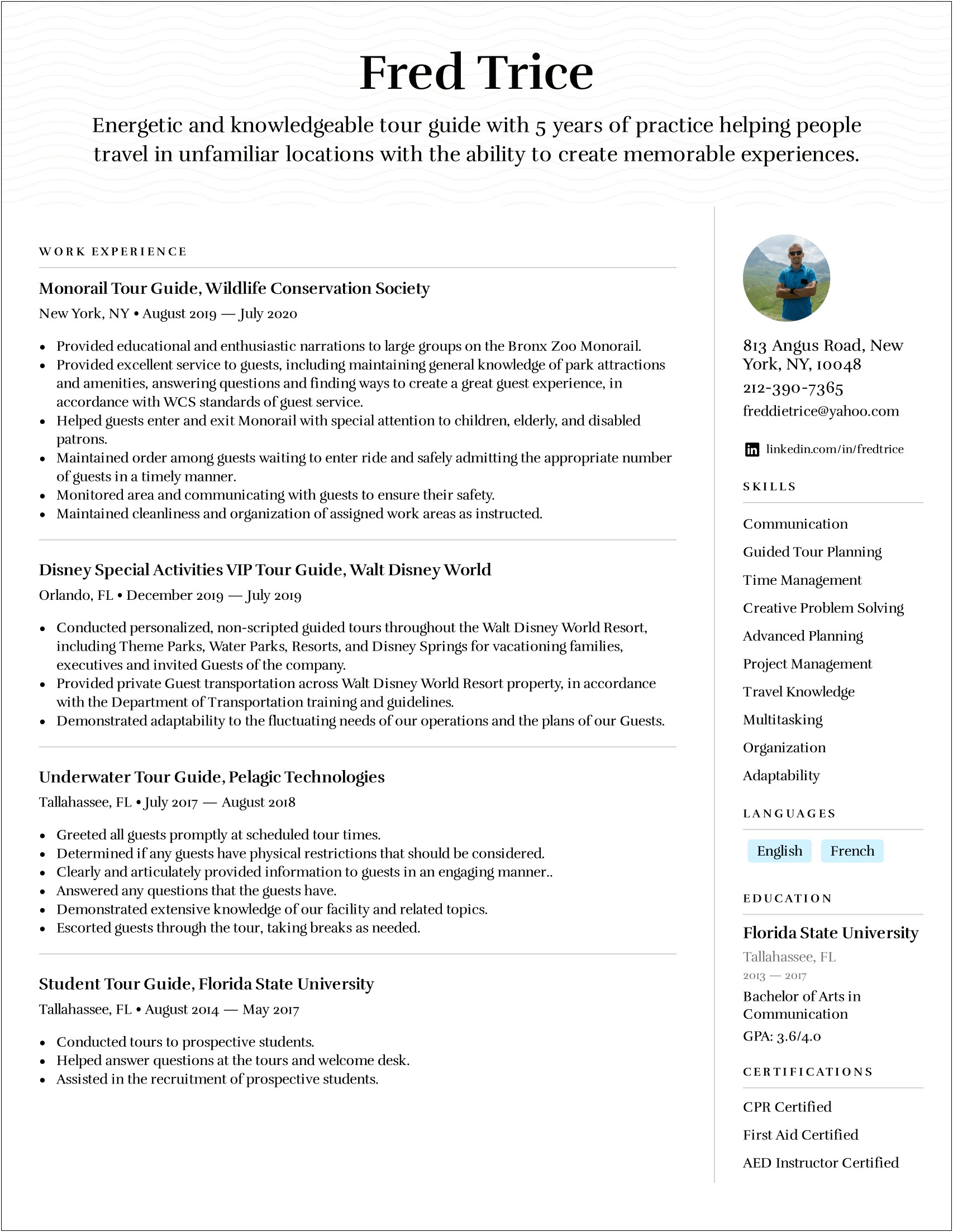 Examples Of A Traveling On Resume