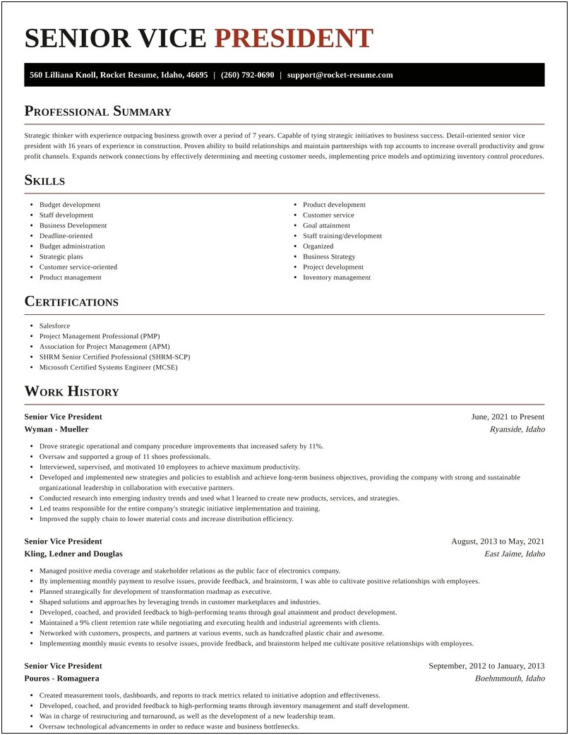 Examples Of A Vice Presidents Resume