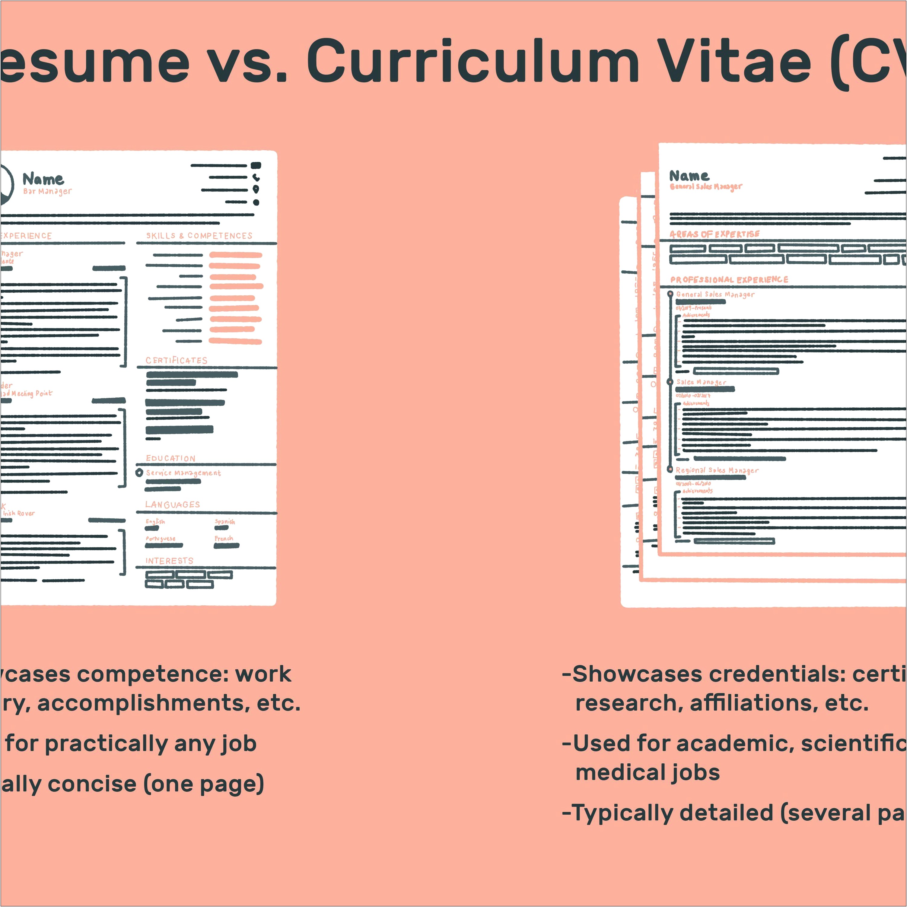 Examples Of Cv Or Resumes