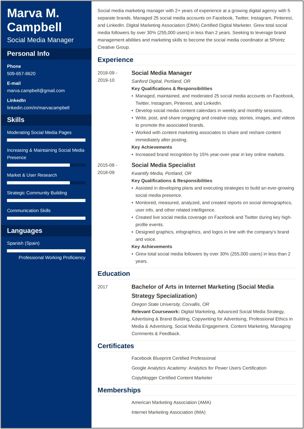 Examples Of Earned Media On Resume