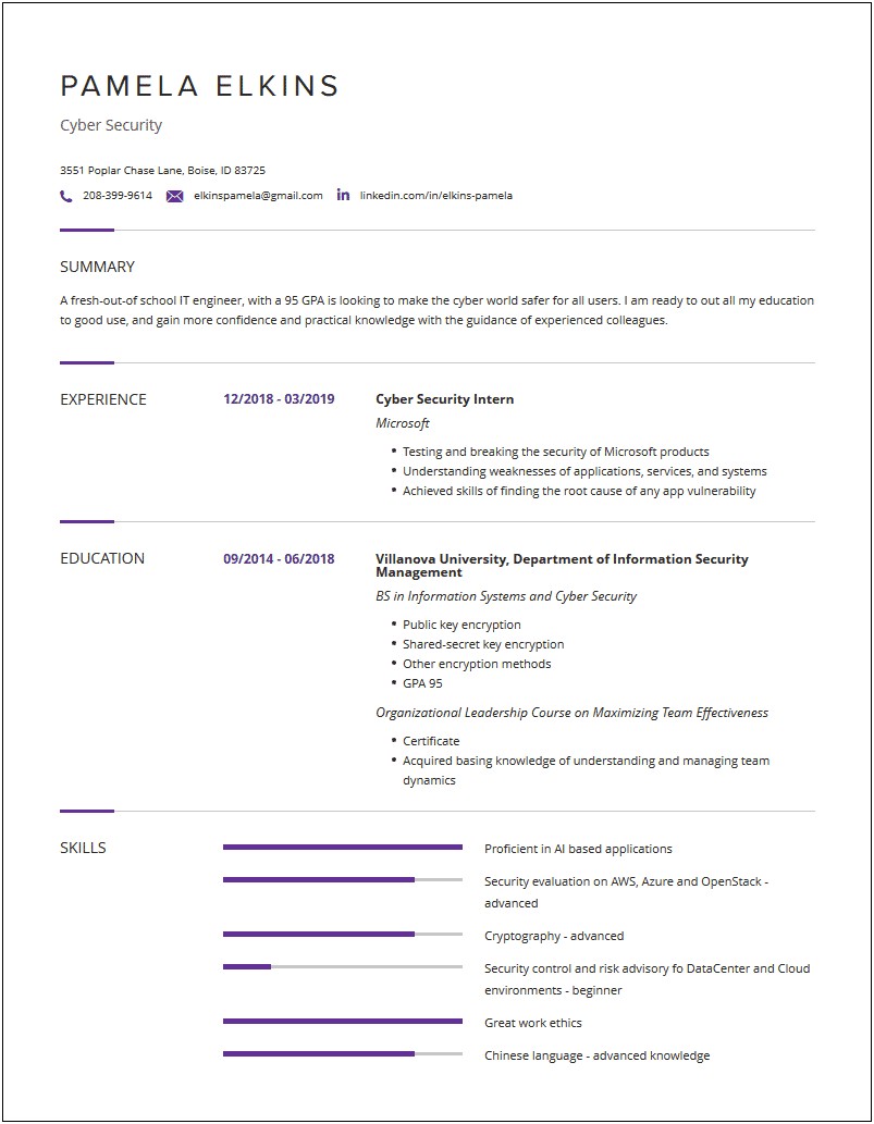 Examples Of Great Cyber Security Resumes