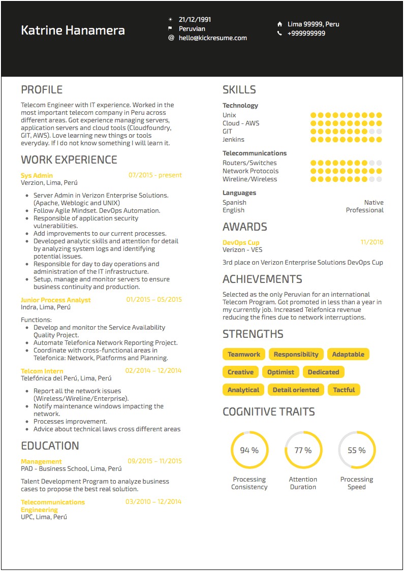 Examples Of Great Sample Resumes