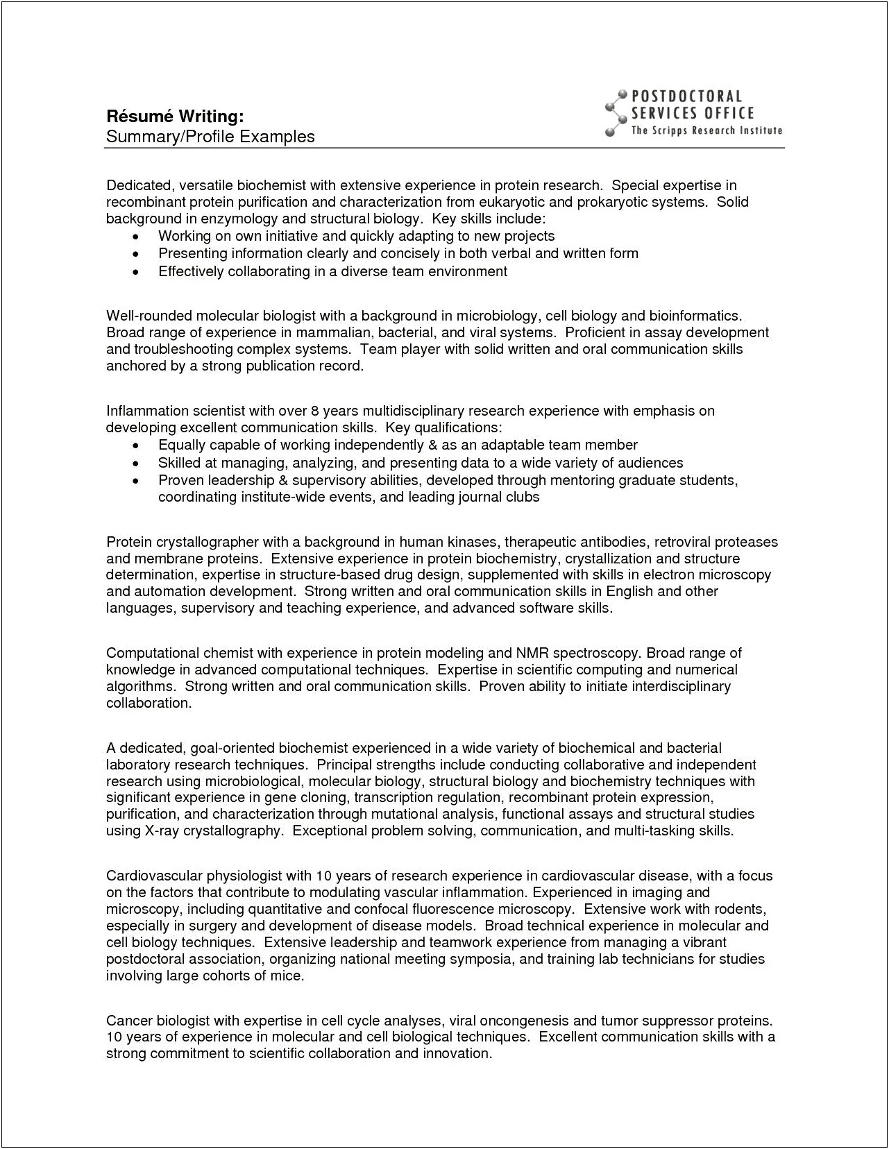 Examples Of Headline Or Summary For Resume