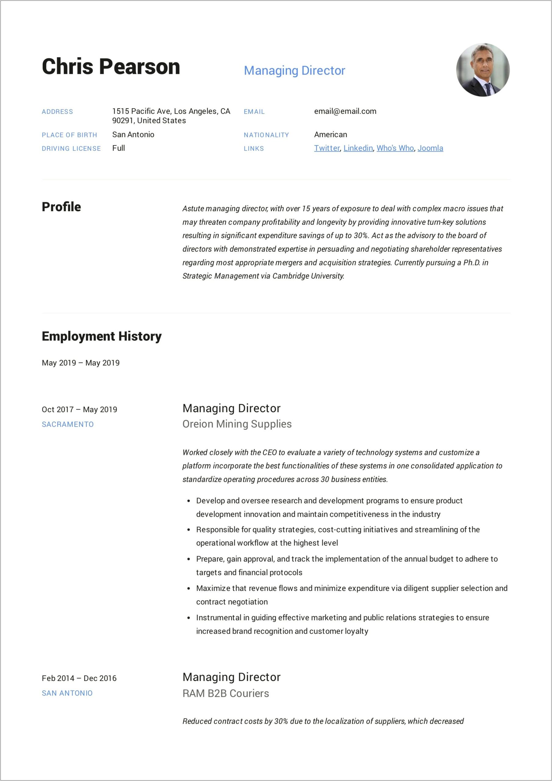Examples Of It Director Resume