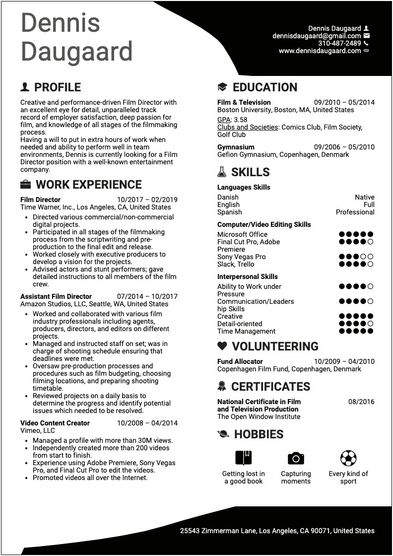 Examples Of Murals On Resume