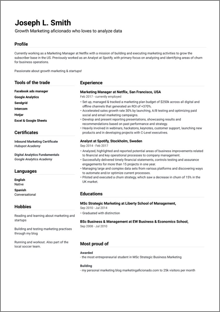 Examples Of Professional Resumes 2019