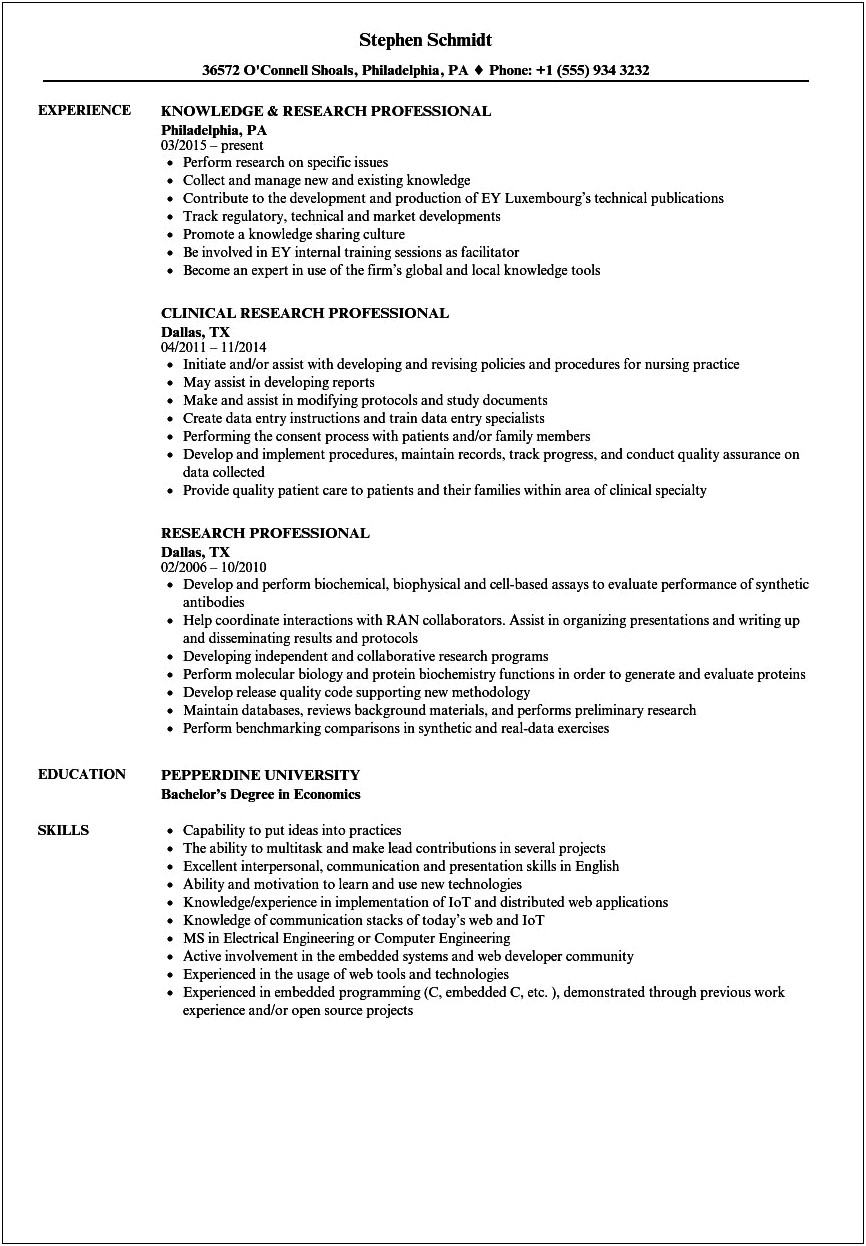 Examples Of Research Projects On Resumes
