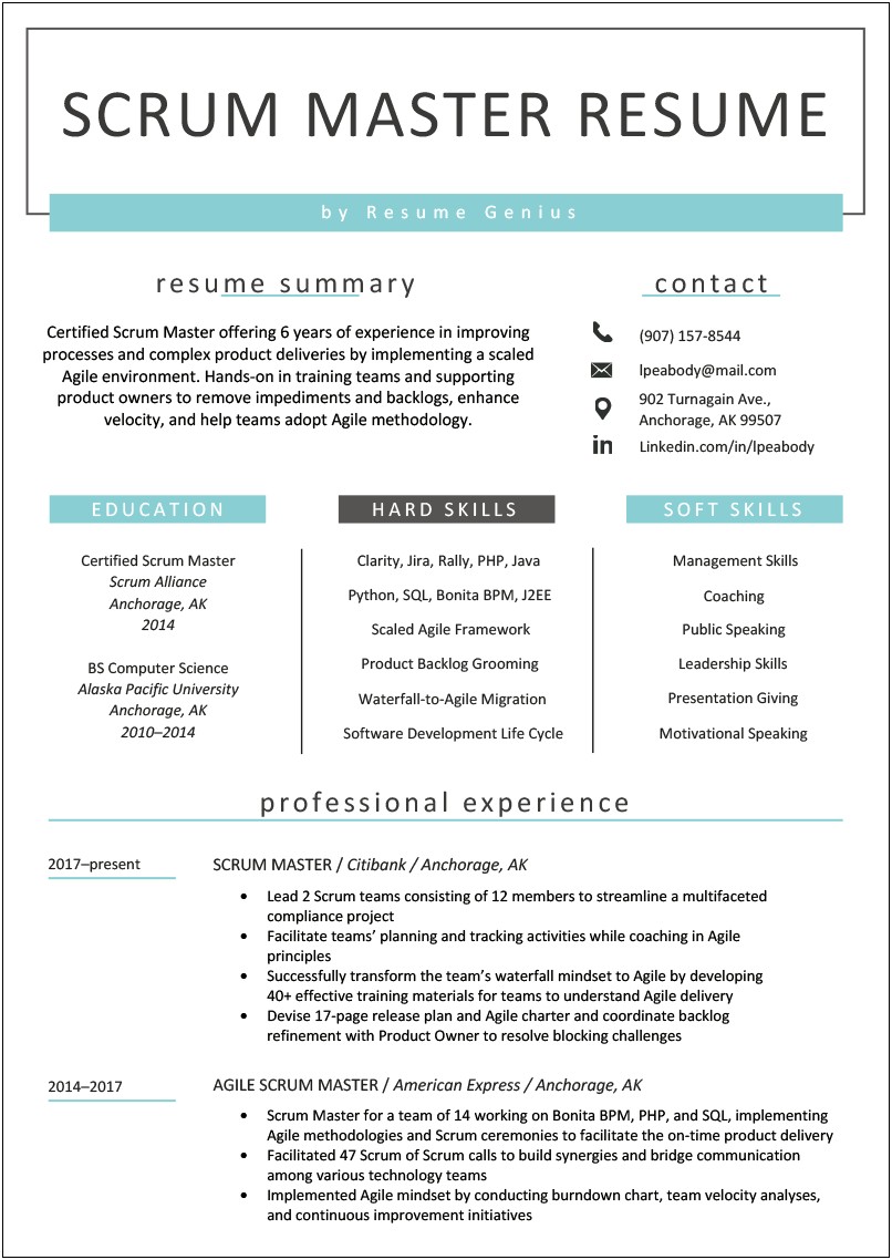 Examples Of Resume With Masteres