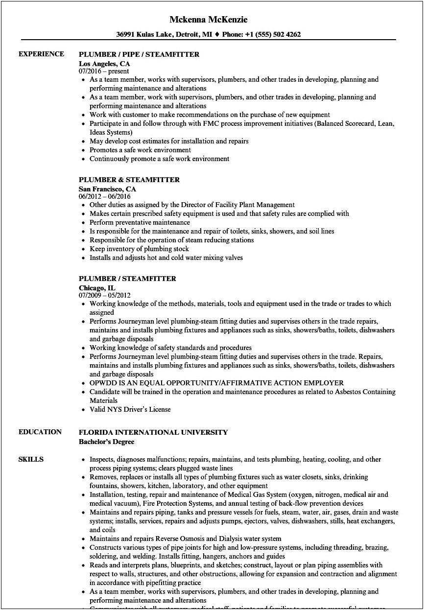 Examples Of Resumes For Plumber