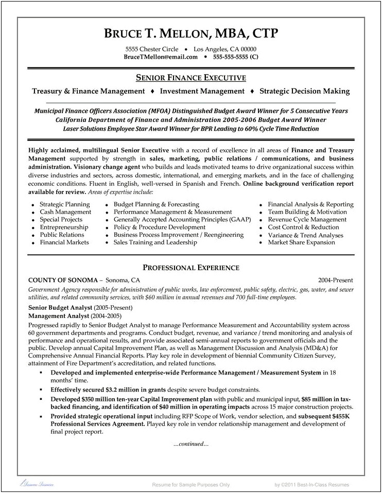 Examples Of Summary Sections On Finance Resumes