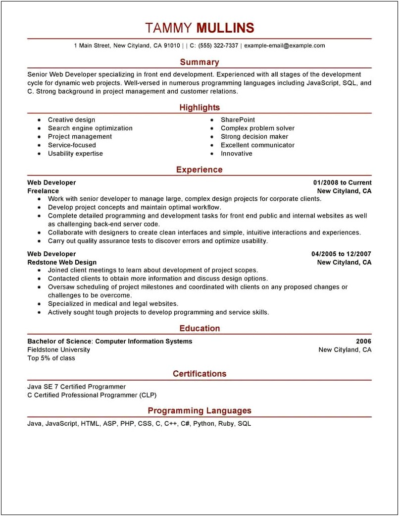 Examples Of Web Developer Resumes