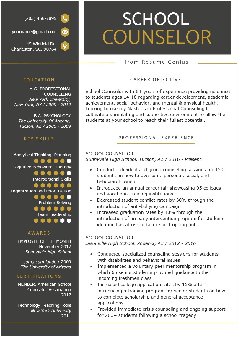 Excellent Counselor Resume Examples 2019