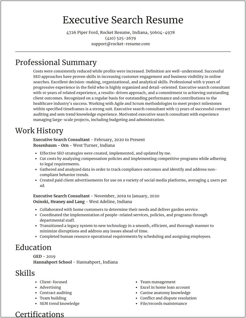Executive Search Consultant Resume Sample