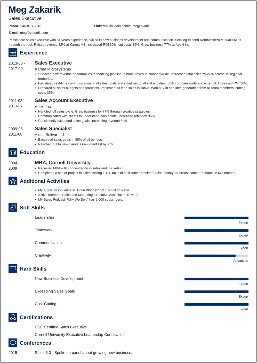 Executive Summary Resume Example 2017