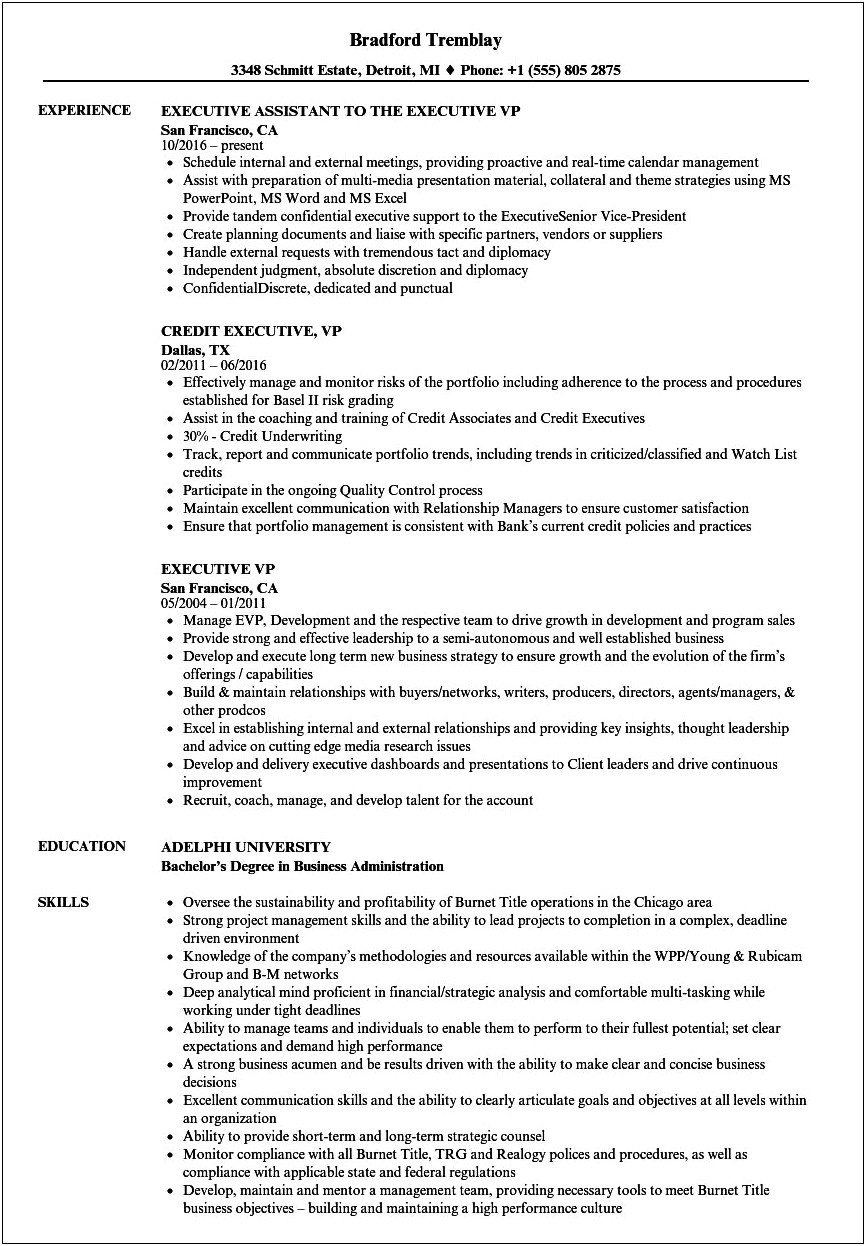 Executive Vice President Resume It Examples