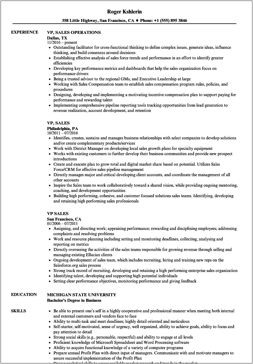 Executive Vice President Sales Resume Example