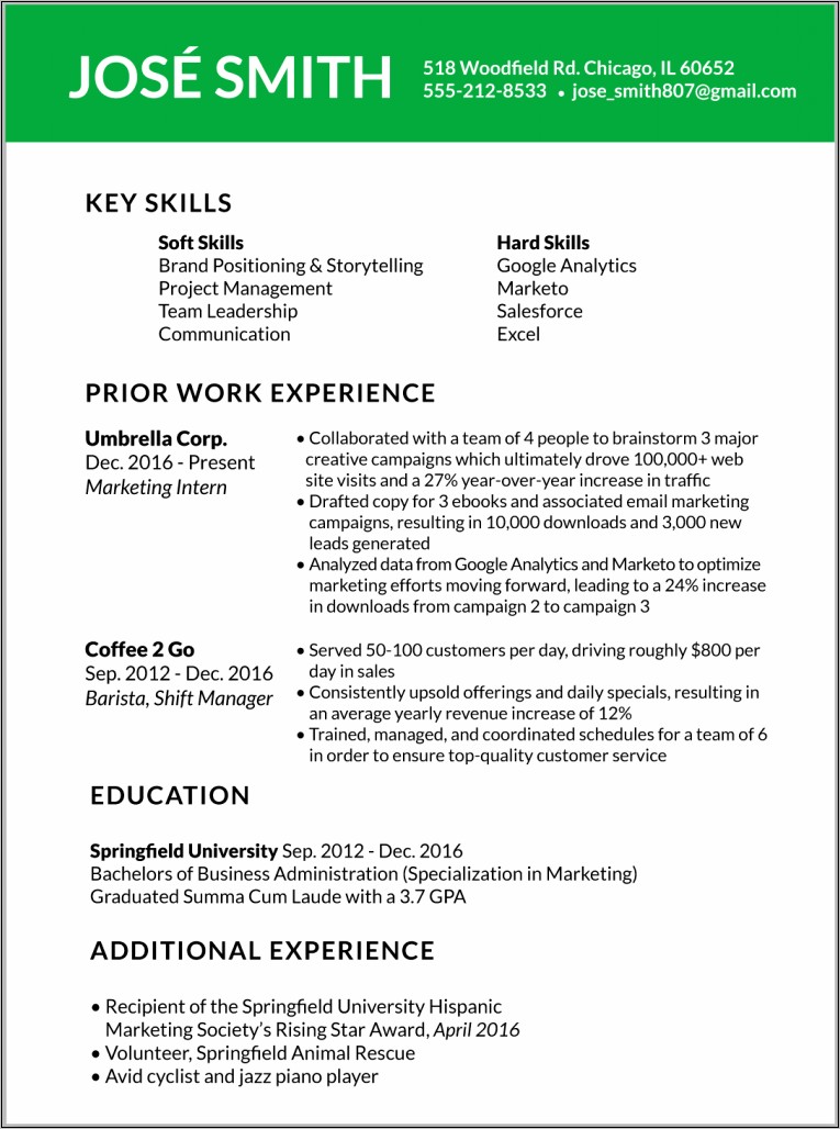 Experience Examples From Other Resumes