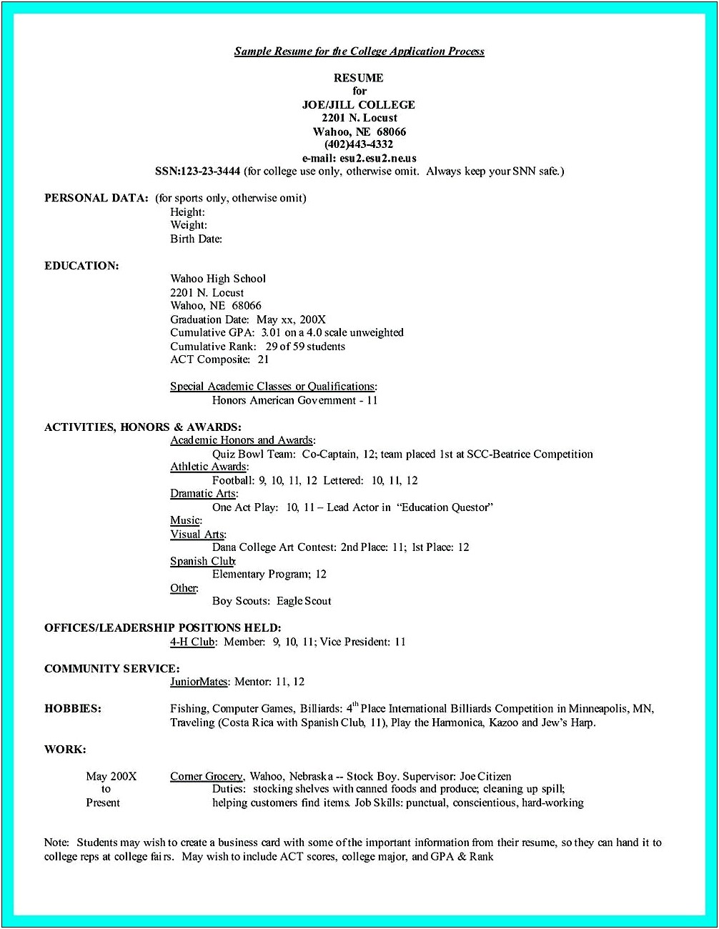 Experience From Boy Scout For Resume