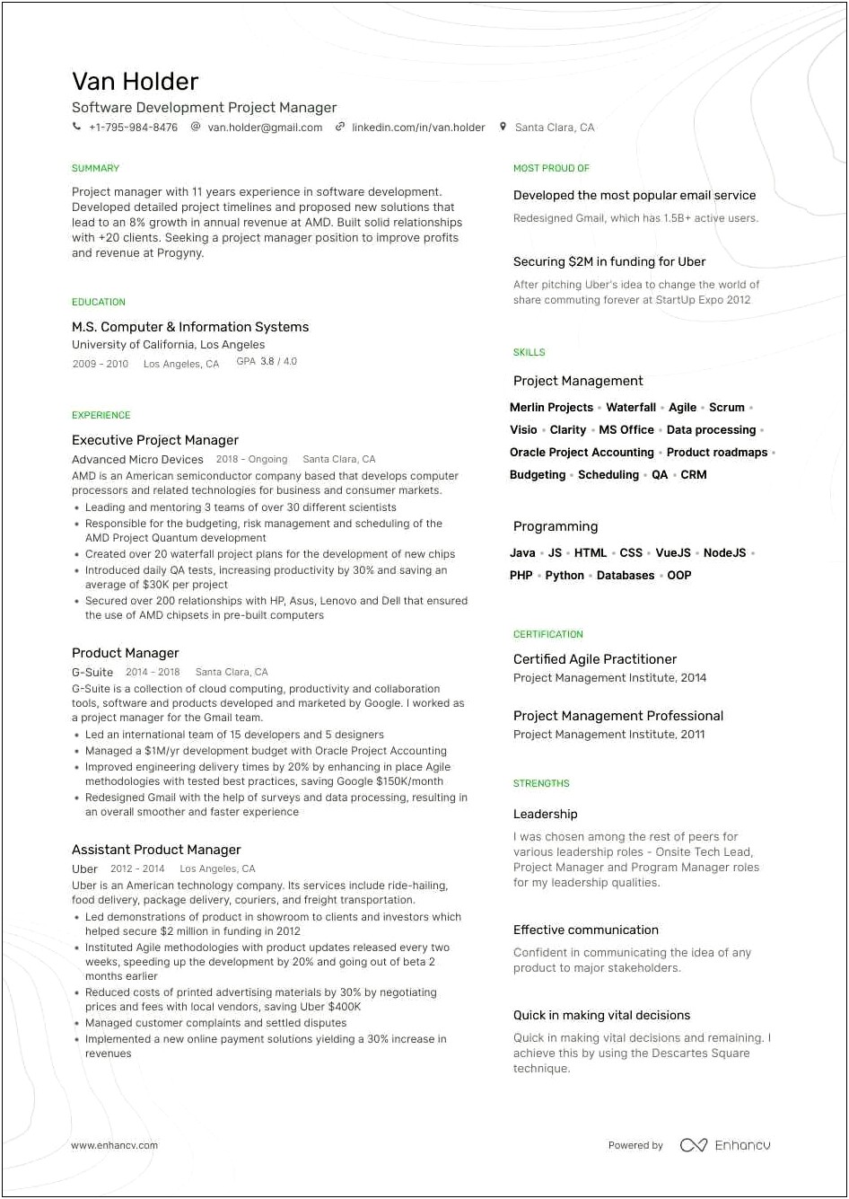 Experienced Project Manager Resume Sample
