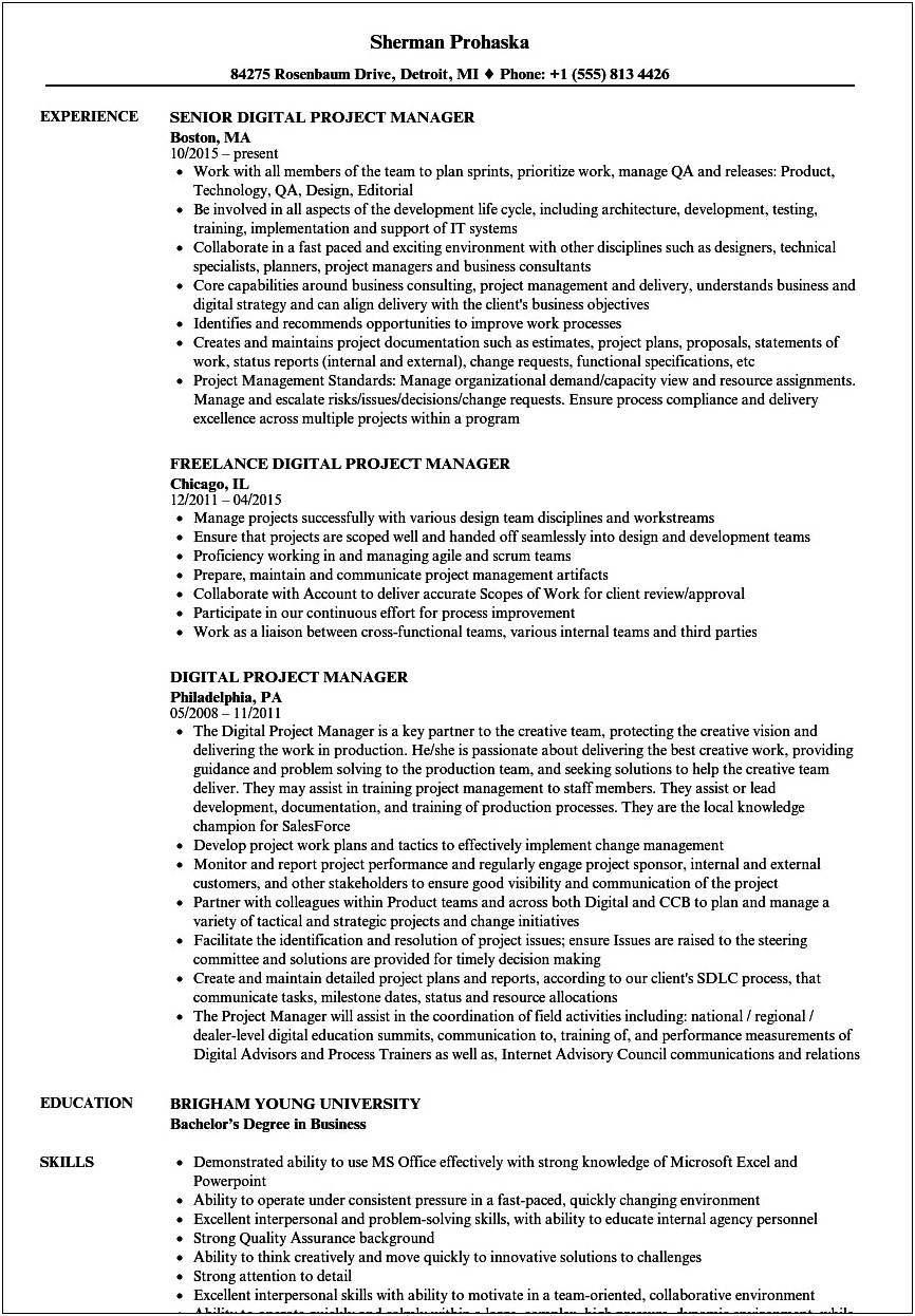 Fast Paced Environment Skills Resume