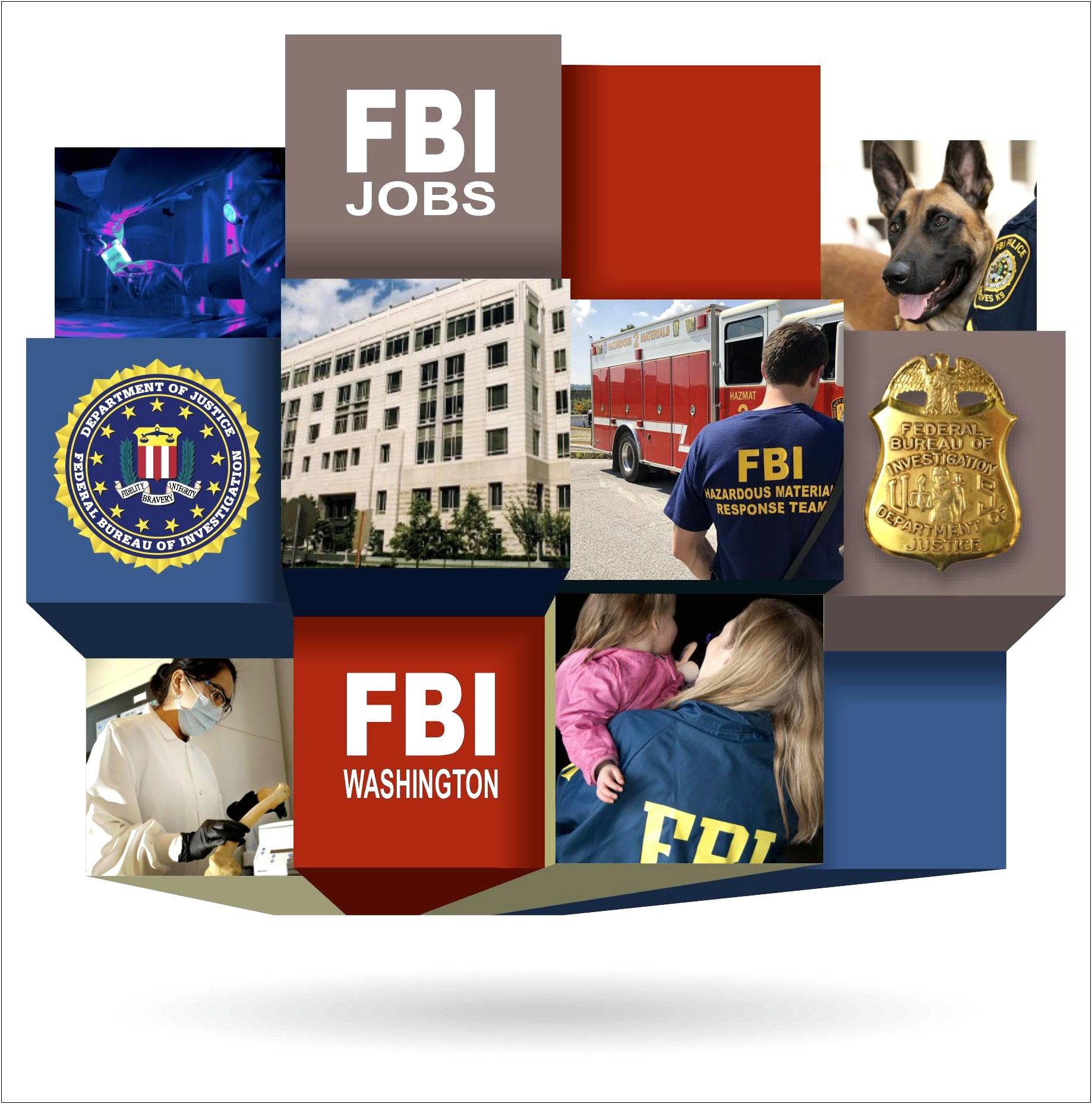 Fbi Victim Specialist Resume Sample
