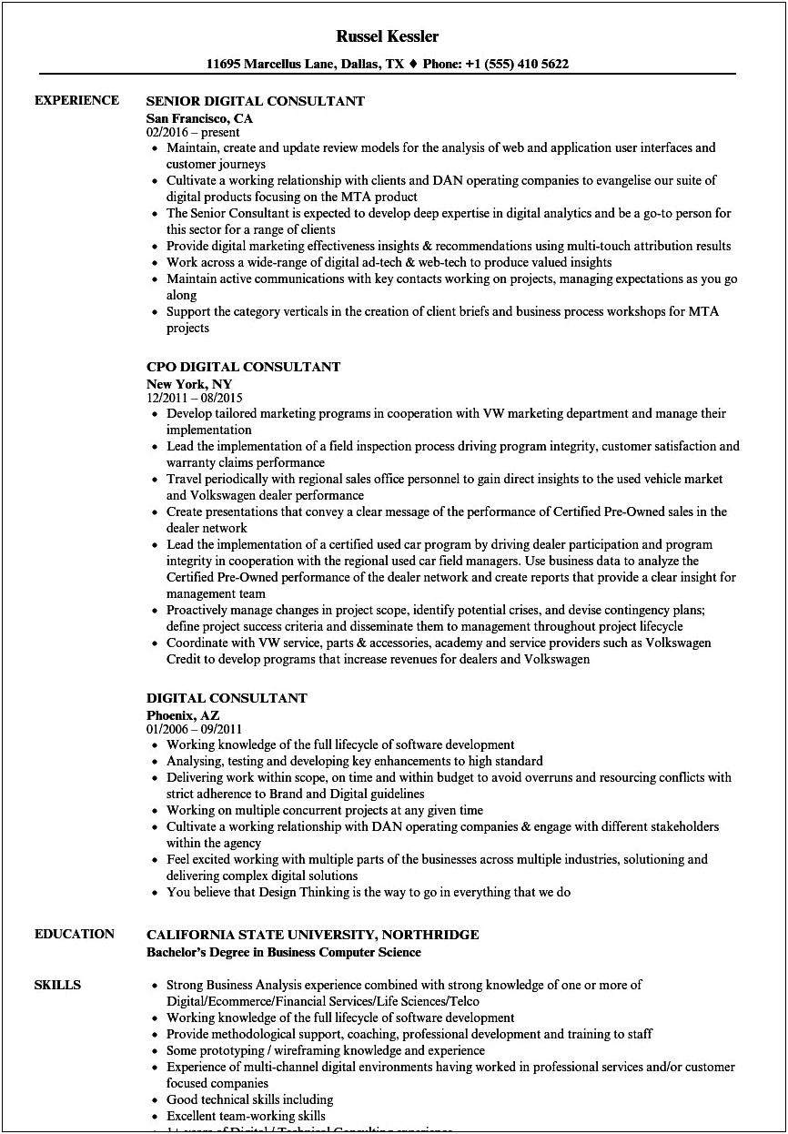 Finance Consultant Job Description For Resume