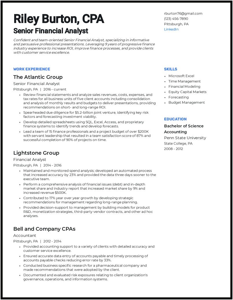 Financial Services Professional Resume Profile Sample