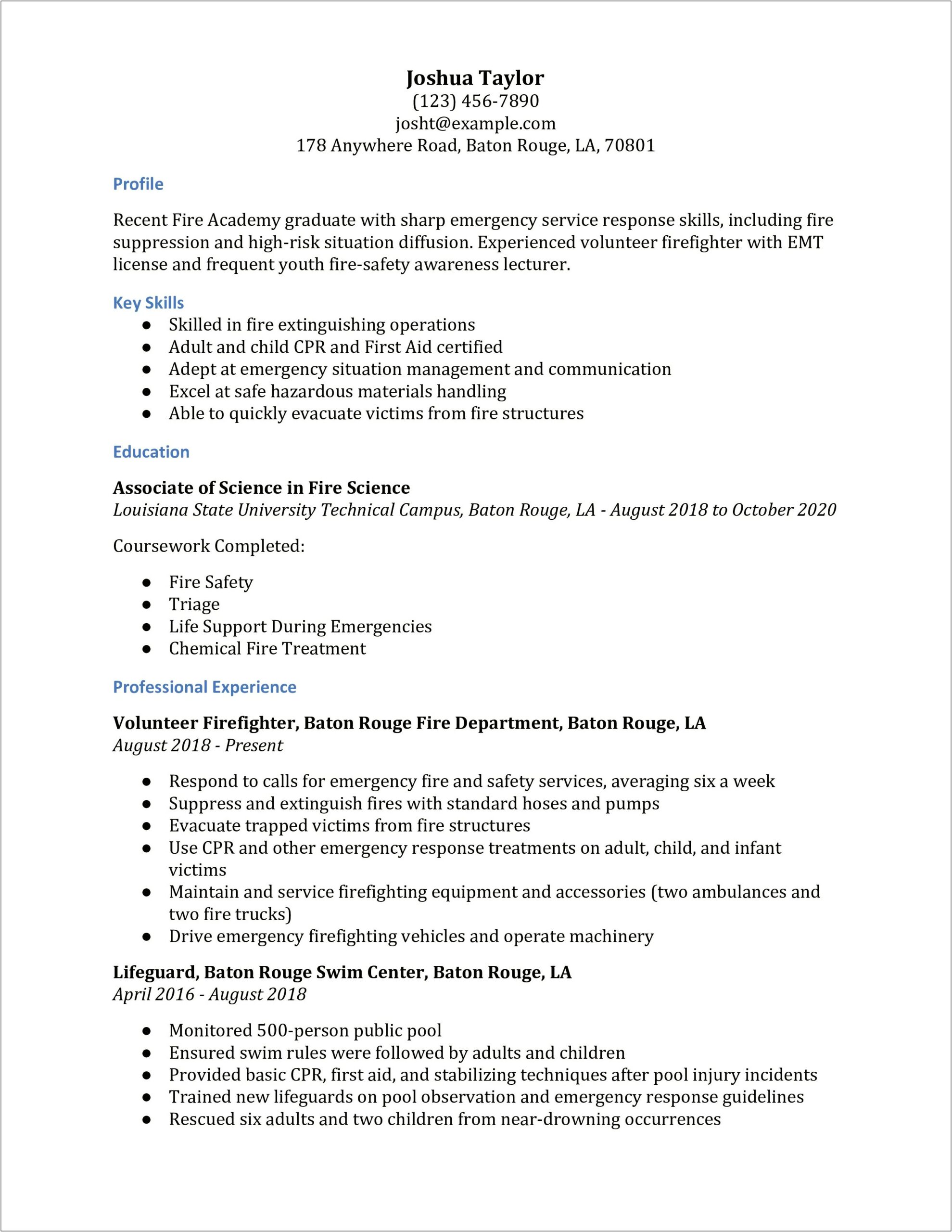 Fire And Life Safety Director Resume Professional Summary