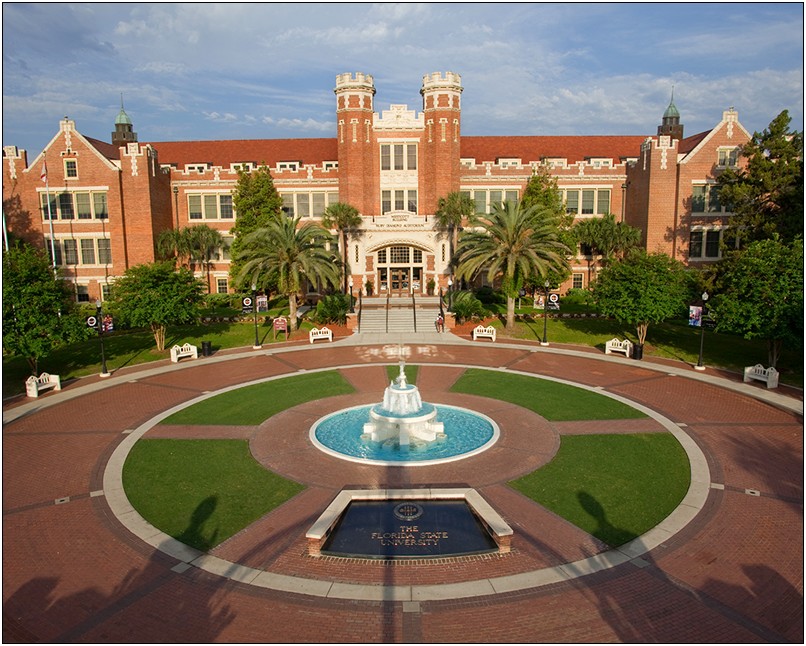 Florida State University Resume Sample Freshman