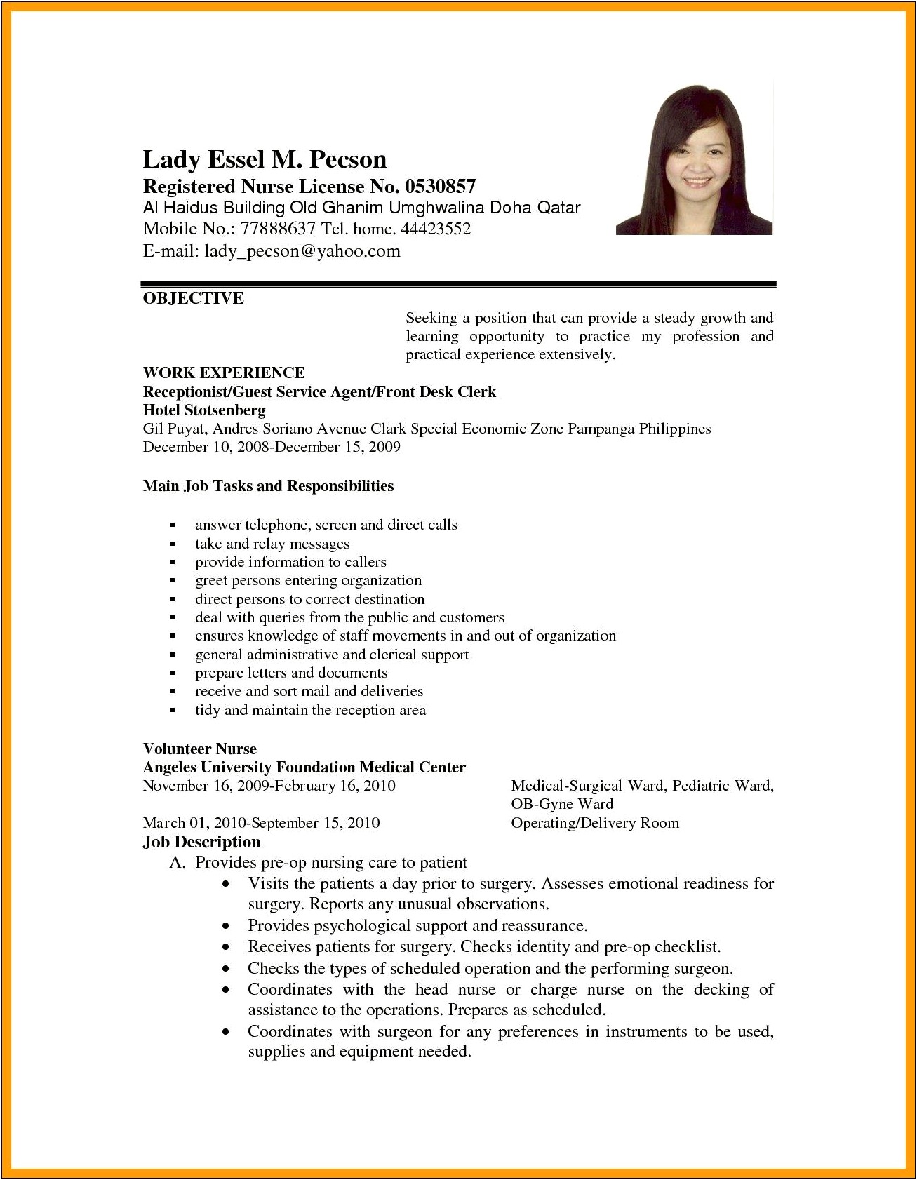 Format And Sample Of Resume