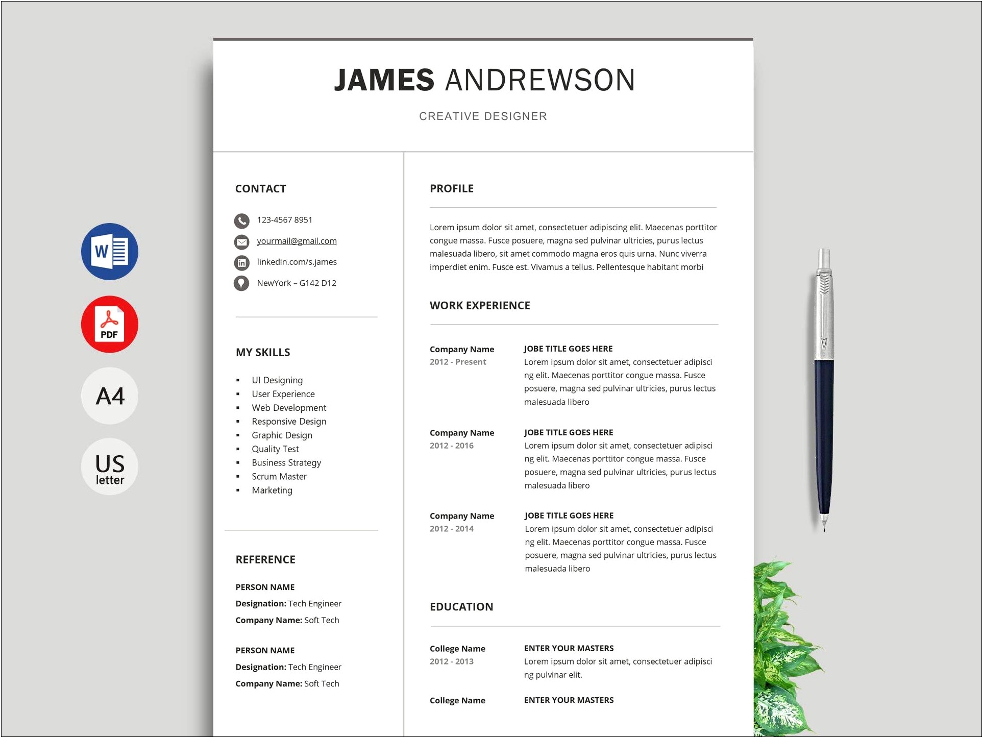 Format Of Professional Resume Free