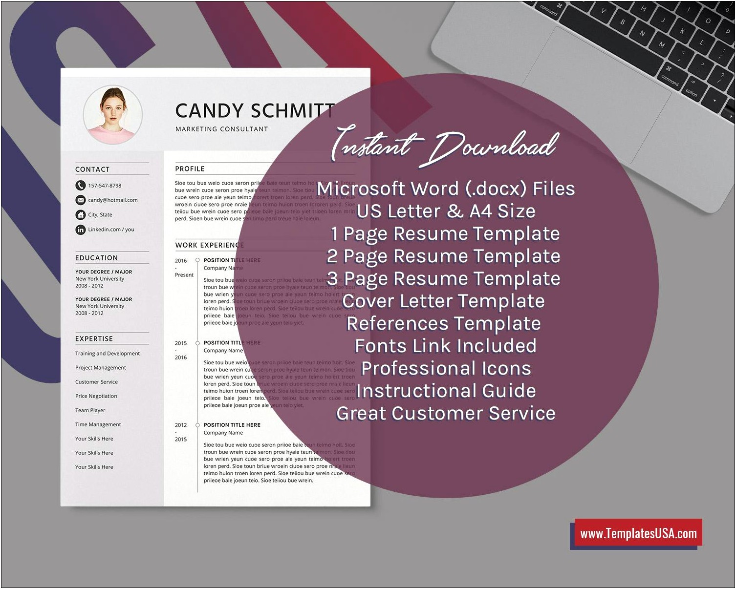 Free American Resume Templates Download For Microsoft Word