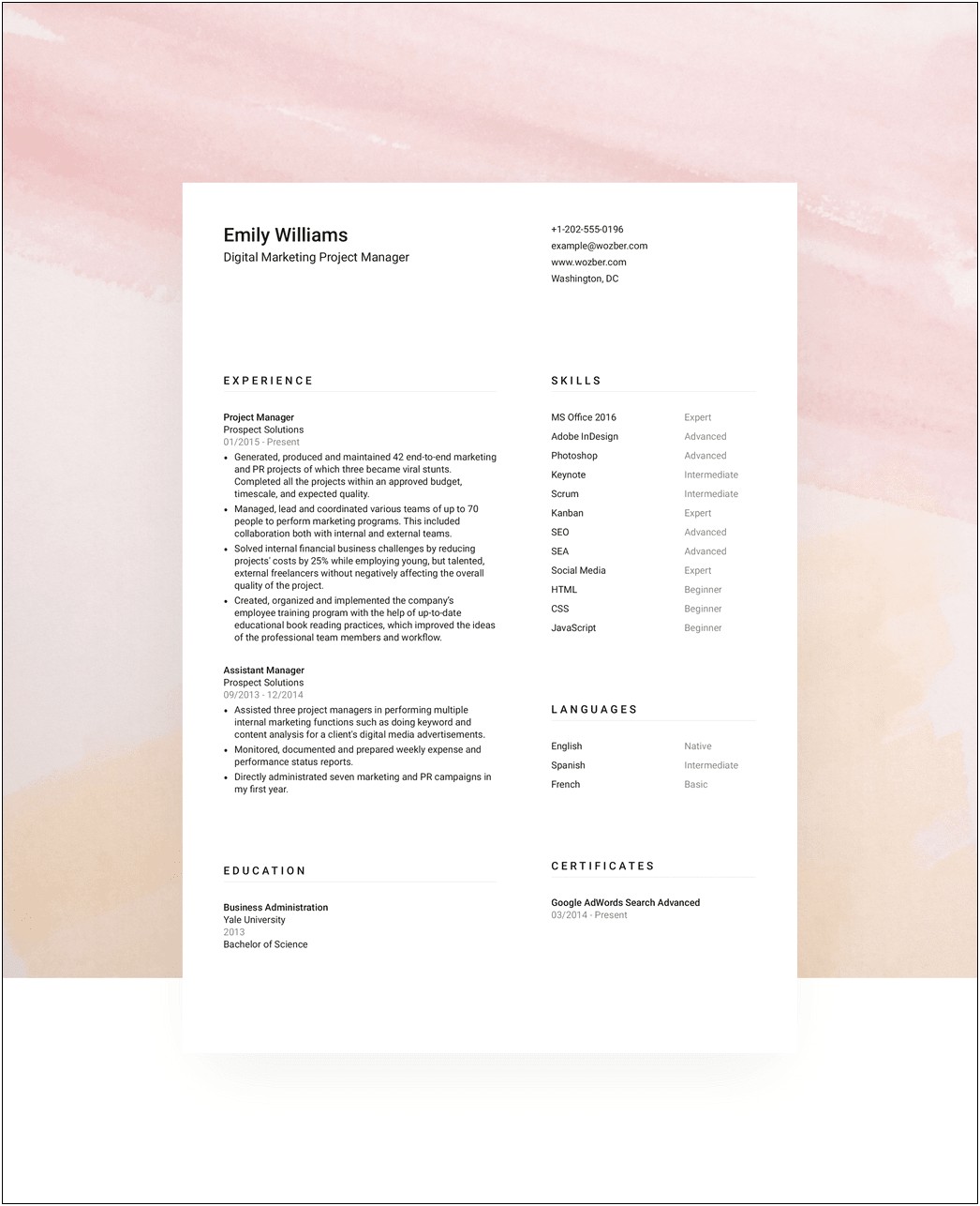 Free Business Management Resume Templates
