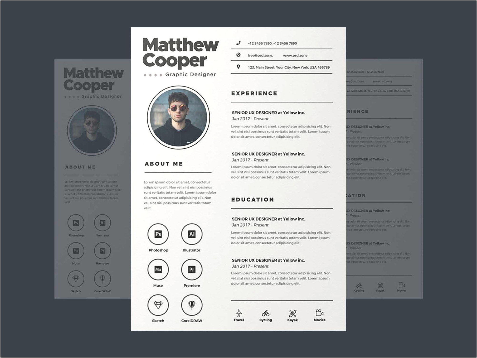 Free Clean Resume Templates Word