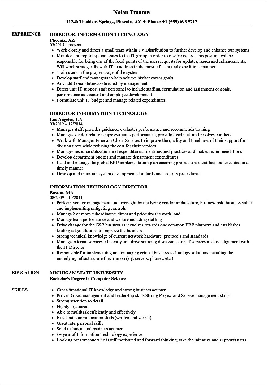 Free Director Of Information Technology Resume Templates