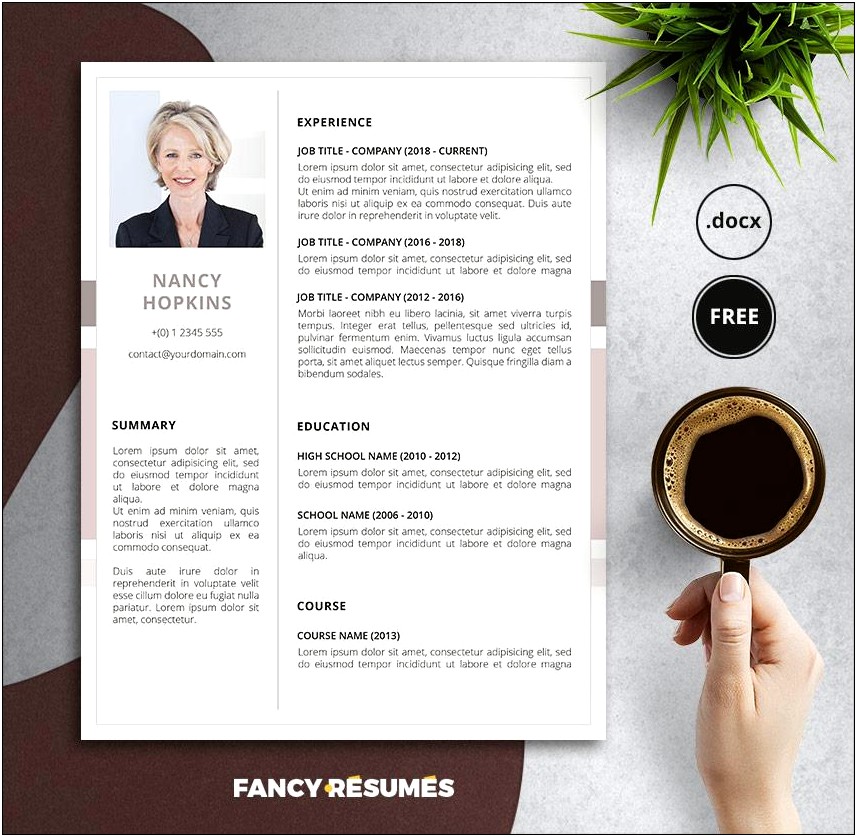 Free Fancy Professional Resume Templates