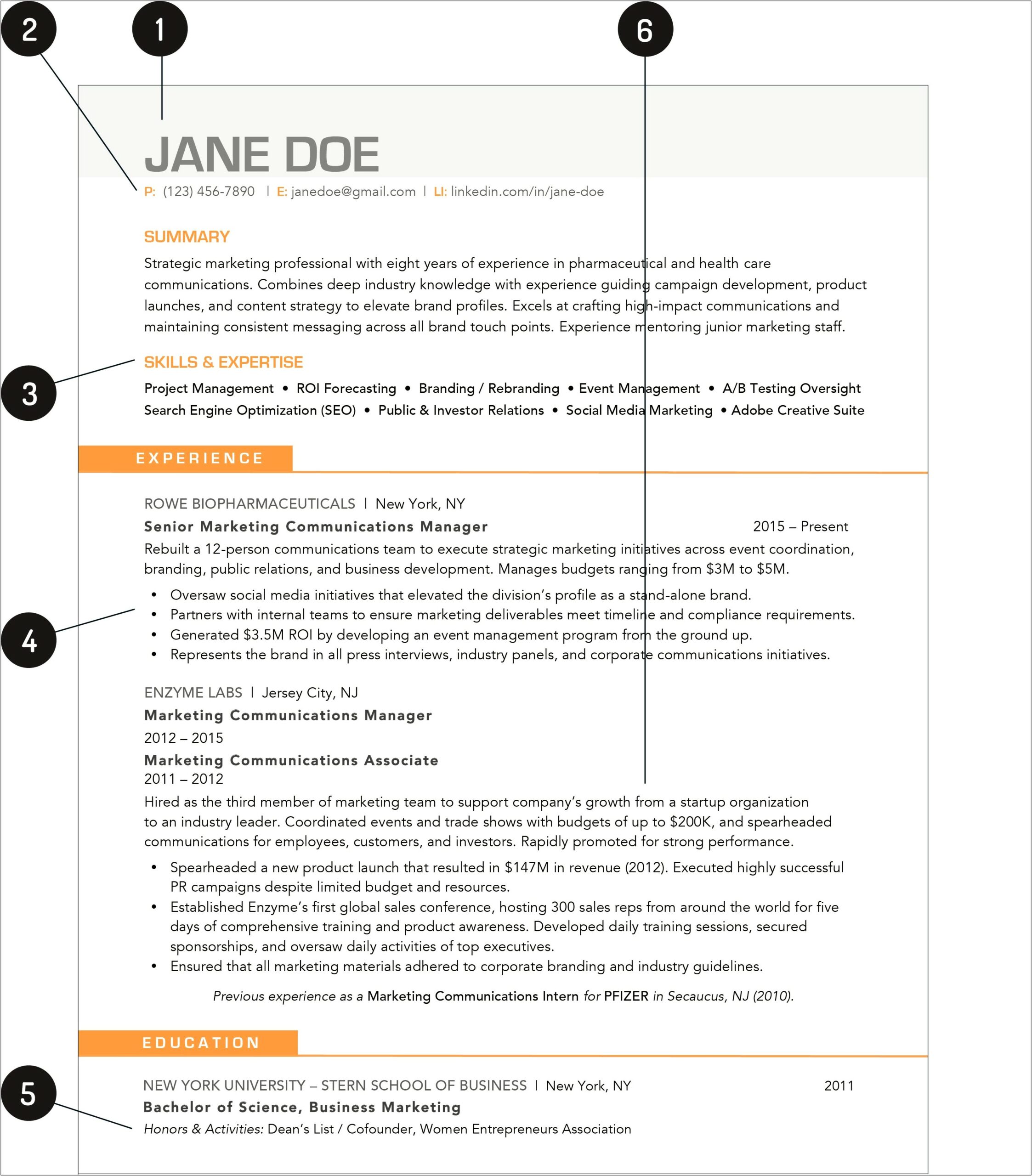 Free First Time Resume With No Experience Samples