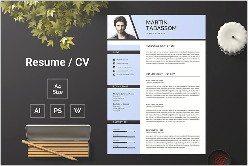 Free Graphical Scientific Resume Template