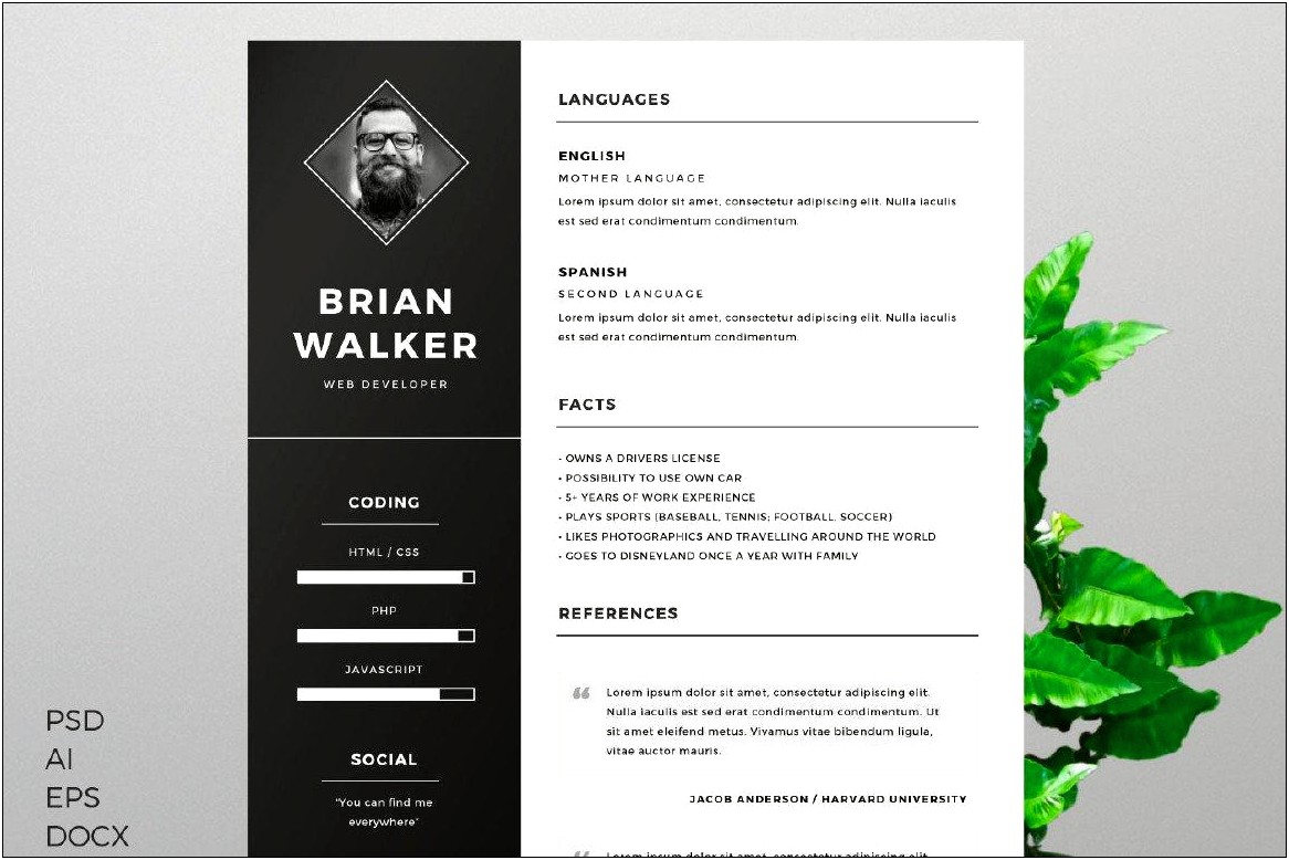Free Infographic Resume Word Template