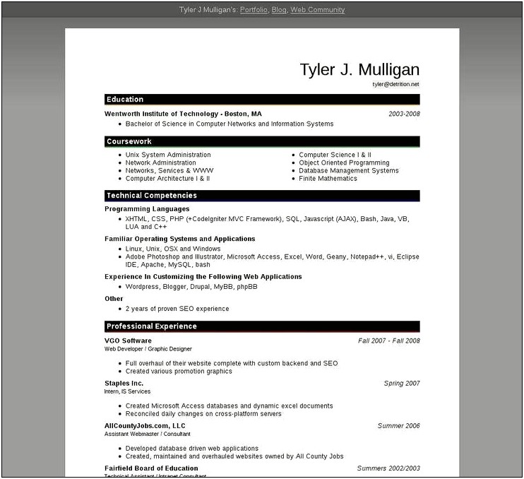 Free It Resume Templates Microsoft Word 2007