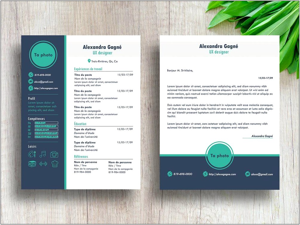 Free Modern Resume Templates In Word
