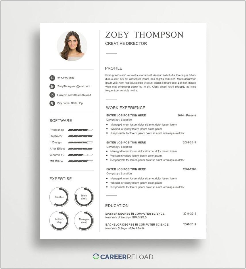 Free Modern Template For Resume