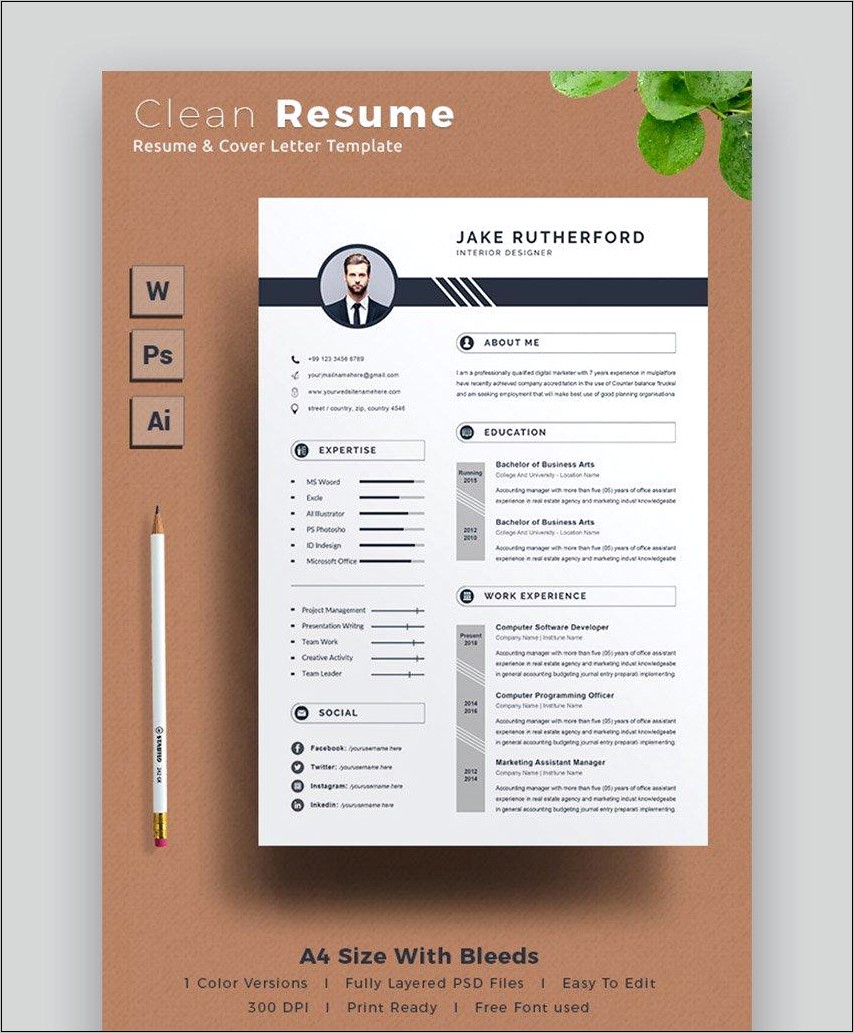 Free Ms Office Resume Templates