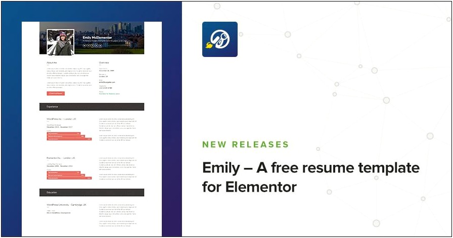 Free Plug In Information Resume Template