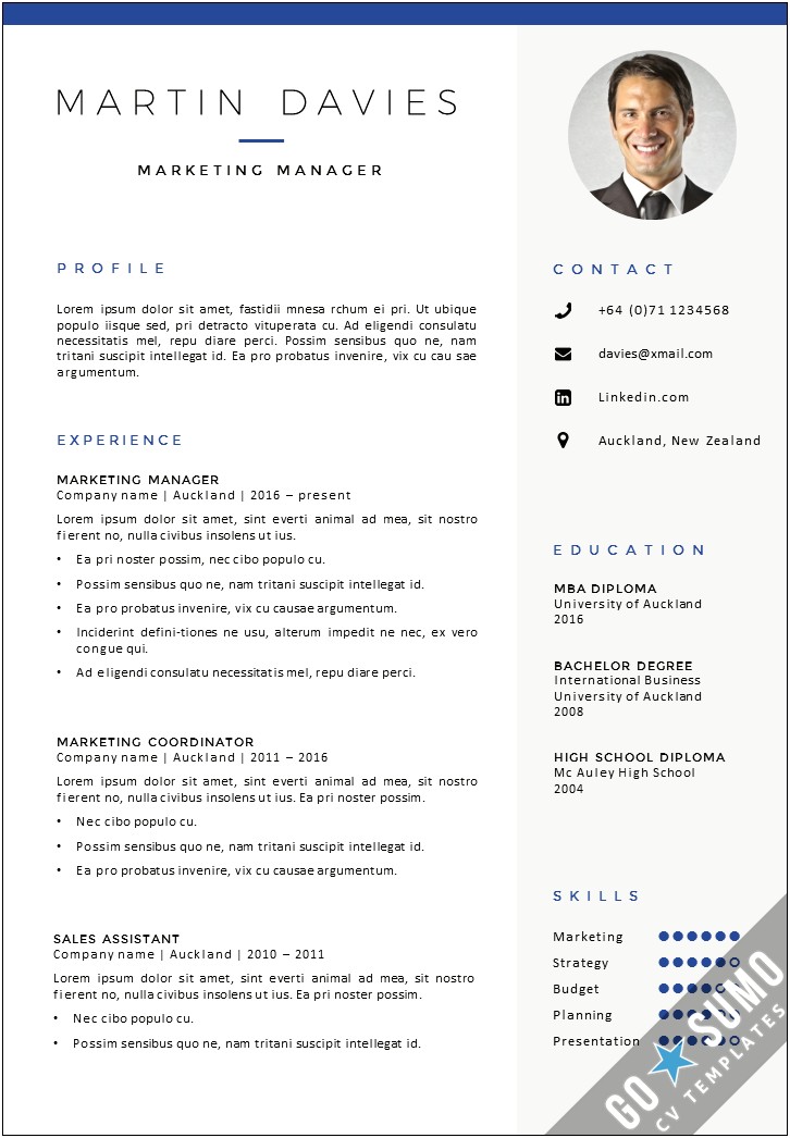 Free Professional Business Resume Templates