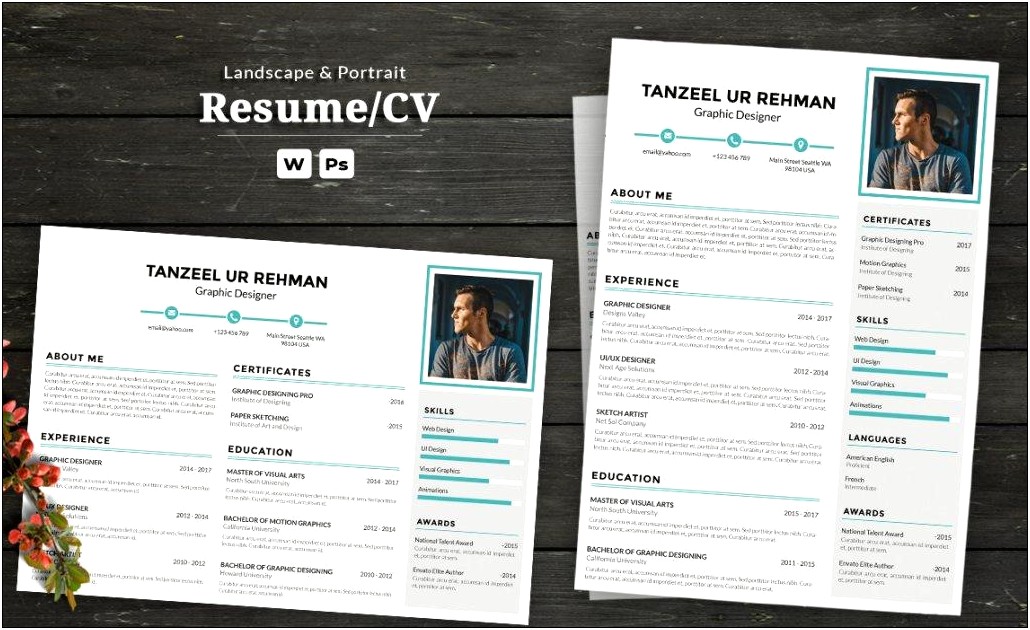Free Professional Resume Template Word 2010